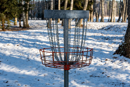 disc golf cart in a birch grove, trees and grass covered with frost, nature is adorned with frost and snow, winterの写真素材