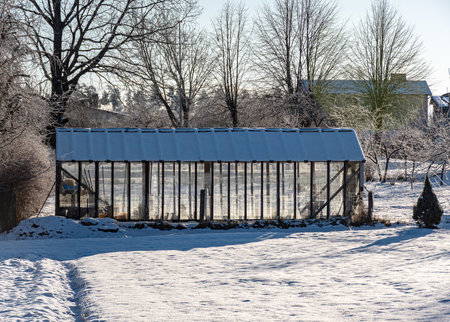 wonderful winter day, trees and grass covered with frost, film greenhouse in the garden, winterの写真素材