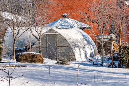 wonderful winter day, trees and grass covered with frost, film greenhouse in the garden, winterの写真素材