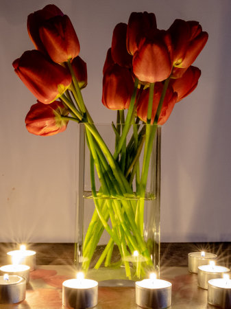 picture with red tulips in a vase by candlelight, interesting reflections and shadowsの写真素材