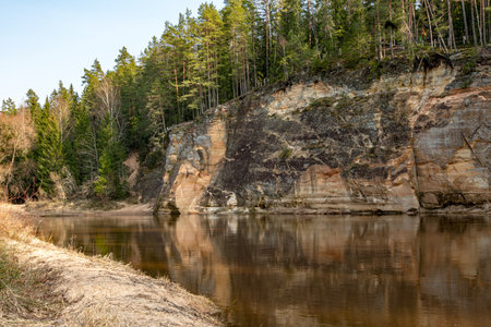 spring landscape with sandstone cliffs on the banks of the river Gauja, beautiful reflections in the water, the bank is covered with spruce forest, Erglu cliffs, Cesu municipality, Latviaの写真素材