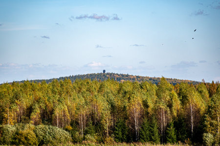 calm autumn landscape with mountains in the background and trees in autumn colors, Zilais Kalns, Latviaの写真素材