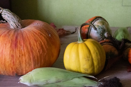 still life with various pumpkins, large and small, pumpkins of different shapes, autumnの写真素材