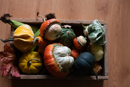 still life with various pumpkins, large and small, pumpkins of different shapes, autumnの写真素材