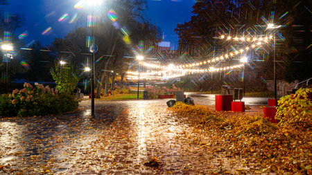 beautiful evening landscape, city view in autumn, illuminated streets and houses, reflections and...