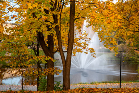 landscape with a fountain in the city park, bright colors, city park in the eveningの写真素材