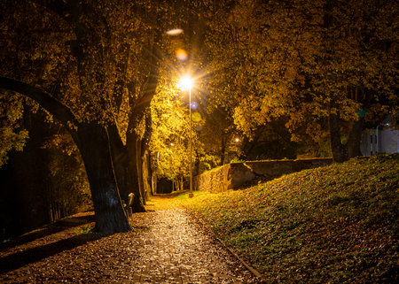 landscape with colorful trees in the city park, bright colors, reflections in the park pond, evening twilight, fall landscapeの写真素材