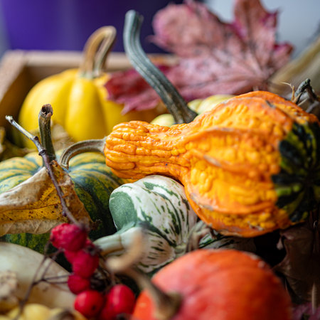 various colorful autumn vegetables, close-up view, organic vegetables, healthy products from farmers market, healthy food for diet.の写真素材