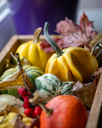 various colorful autumn vegetables, close-up view, organic vegetables, healthy products from farmers market, healthy food for diet.の写真素材