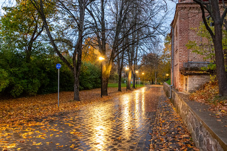 beautiful evening landscape, city view in autumn, illuminated streets and houses, reflections and bright colorsの写真素材