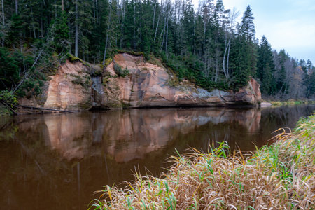 beautiful view of sandstone outcrops on the riverbank, autumn landscape, reflections in the river, Gauja, Erglu cliffs, Latviaの写真素材