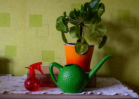 still life with clay dish various shapes and sizes of pumpkins on green background, season, leisure and objects conceptの写真素材