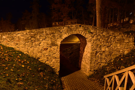 colorful and bright autumn landscape from the city park in dark autumn, illuminated park, Cesis, Latvia, autumnの写真素材