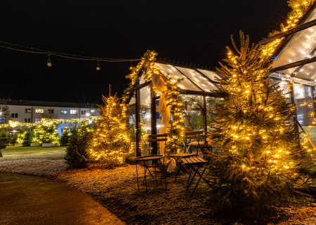 gorgeously decorated city in a Christmas mood, various lights and decorations, decorated facades of houses and fir trees, night landscape, Valmiera, Latviaの写真素材