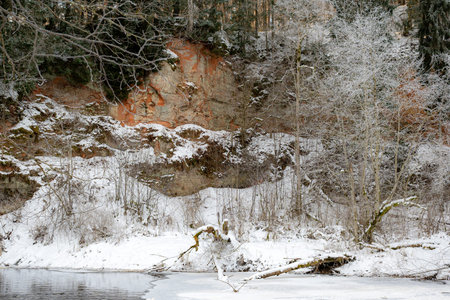 fabulous frost-covered trees, river bank with sandstone outcrops, winterの写真素材