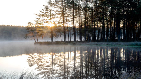 sunset landscape by the lake, beautiful reflection of the lake shore and trees, sunrise colors in...