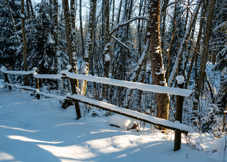snow-covered fence posts, winter day in the park, snow covers the surroundings, winterの写真素材