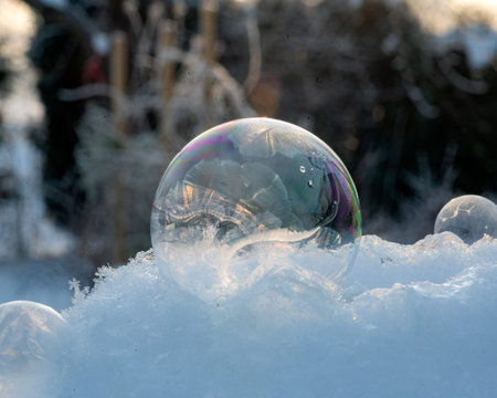 close-up image of freezing soap bubbles, winterの写真素材