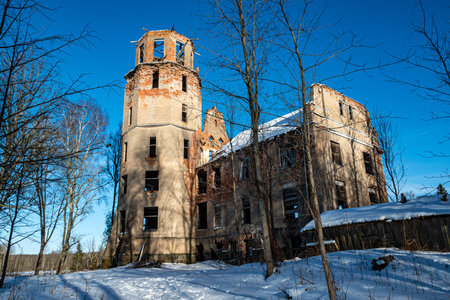 winter landscape with old castle ruins, cold winter day, Veckarki Castle, Karki, Latviaの写真素材