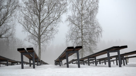 foggy spring landscape with wooden benches in the park, blurred tree outlines in the background in...
