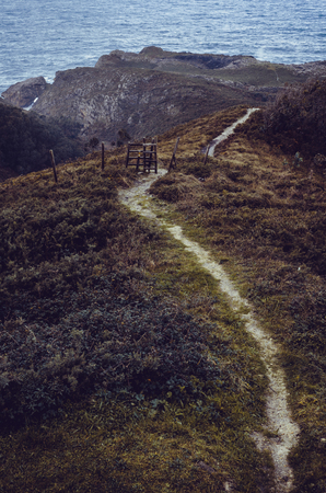 Narrow path between dark brown grass going through the hills to the near seaの写真素材