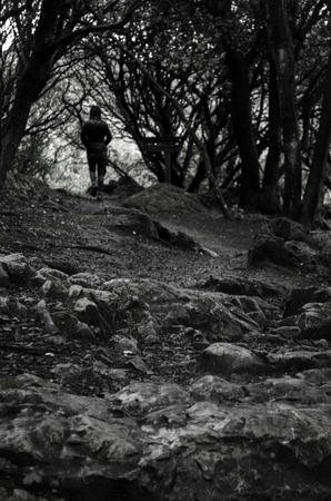 Rocky and abrupt path carries a girl to the hole between a bunch of treesの写真素材
