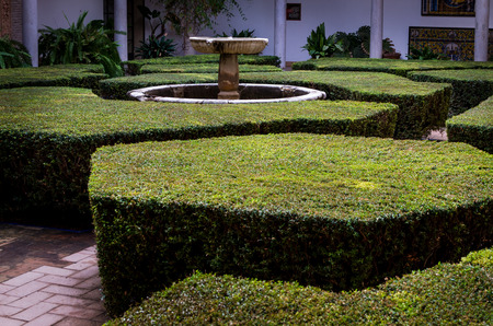 Hexagonal and other geometrical shape bushes form a little laberint around a water fountainの写真素材