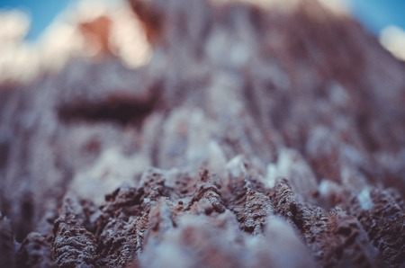 Desert sand, rocks and details in Atacama, Chileの写真素材