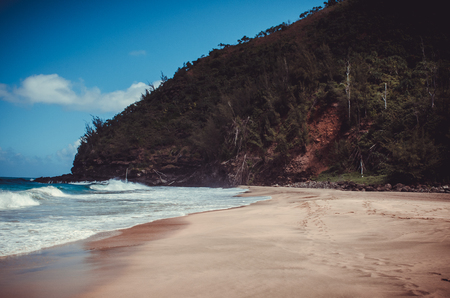 As you walk along this coastline, you will have wild, rugged cliffs on one side, extending sharply upward, and on the other, a scalloped edge of land that includes sea caves and lava arches, desolate coves and sparkling beaches.の素材 [FY310123608517]