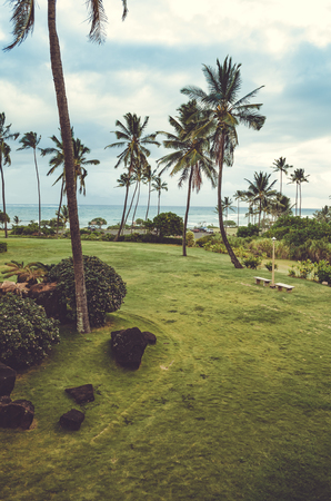 Typical green scene from Hawaii, where vegetation and grass reach the shore lineの写真素材
