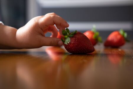 Baby s hand manipulating different fruits on a wooden tableの写真素材