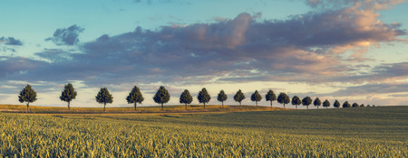 autumn fieldsの写真素材