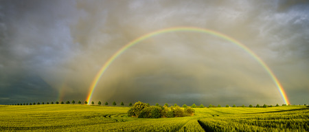 rainbowの写真素材