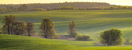 panorama Spring, green fieldの写真素材