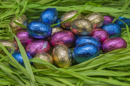 chocolate easter eggs hidden in grassの写真素材