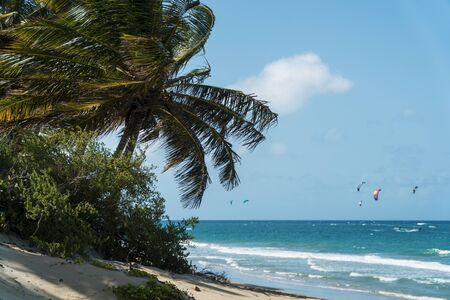 view of cabarete beach at the dominican republic. with unrecognizable kite surfers in the distanceの写真素材