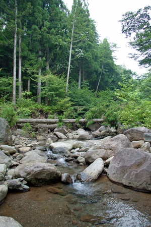 ã¨ pill too cleanの写真素材