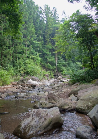 clean ã¨ senの写真素材