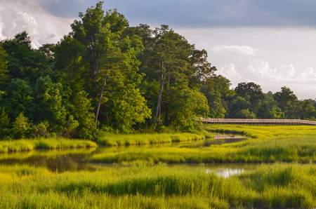 Windsor Parkの写真素材