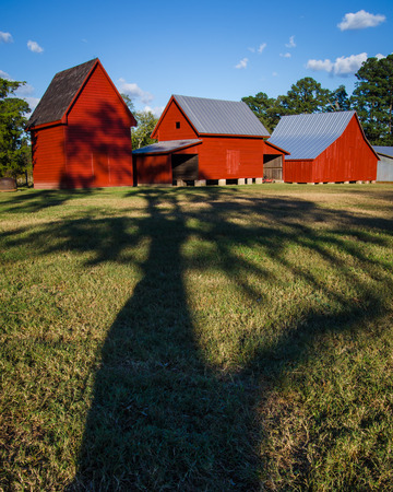 A tree shadow reaching for a trio of red barns at Windsor Castle Park in Smithfield, Virginia.のeditorial素材