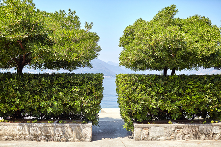 a gap between green bushes and trees overlooking the sea, mountains and blue skyの写真素材