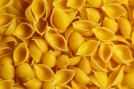 Raw uncooked dry Conchiglioni italian pasta. shells shapedの写真素材