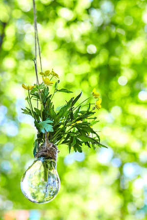 Yellow wildflowers in a bulb with water. Vase with flowering plants hanging on a rope on a...