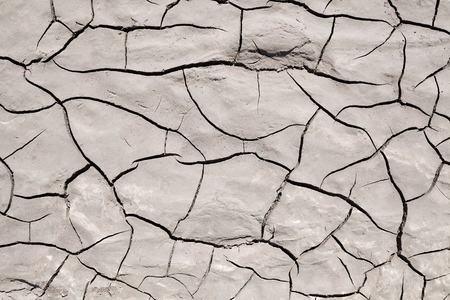 The surface of the wet cracked earth. crack, texture, background.の写真素材
