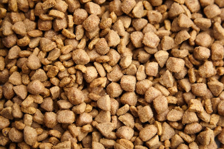 Dry food for dogs and cats. Pet meal background