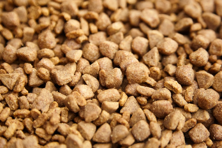 Dry food for dogs and cats. Pet meal backgroundの写真素材
