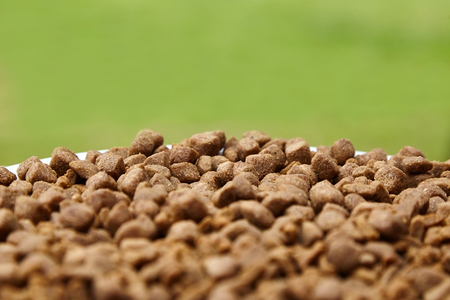 Dry food for dogs and cats. Pet meal on blurred green grass background. Selective focusの写真素材