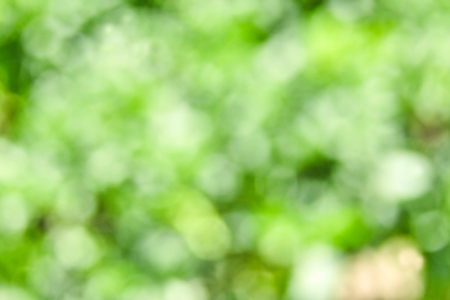 Abstract blurred green backgroundの写真素材