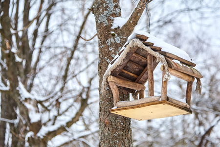 Homemade bird feeder. Helping birds in winterの写真素材