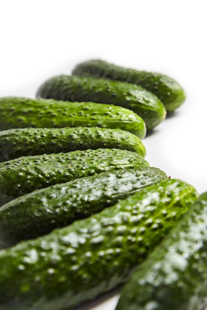 Fresh green cucumbers on white background. Gherkinの写真素材